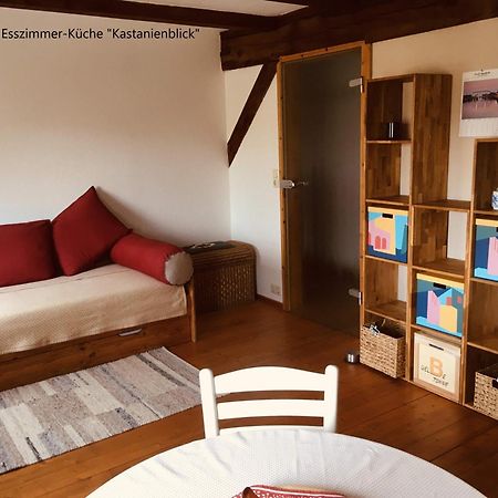 Ferienwohnung Kastanienblick Oder Parkblick, Oder Unser Radlerzimmer! Ziethen  Exterior photo