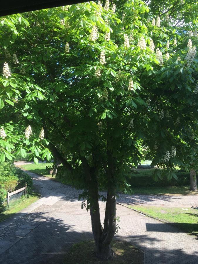 Ferienwohnung Kastanienblick Oder Parkblick, Oder Unser Radlerzimmer! Ziethen  Exterior photo