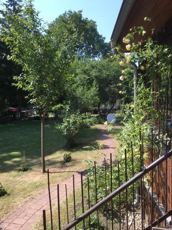 Ferienwohnung Kastanienblick Oder Parkblick, Oder Unser Radlerzimmer! Ziethen  Exterior photo